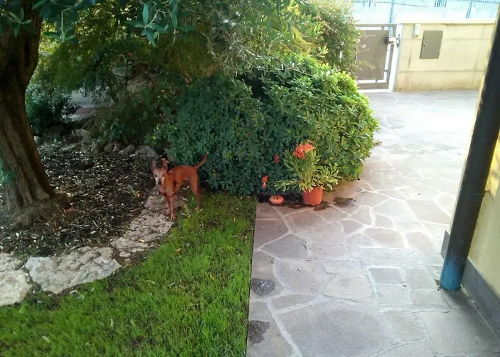 Loredana Elegant With Private Bathroom 斯皮内亚